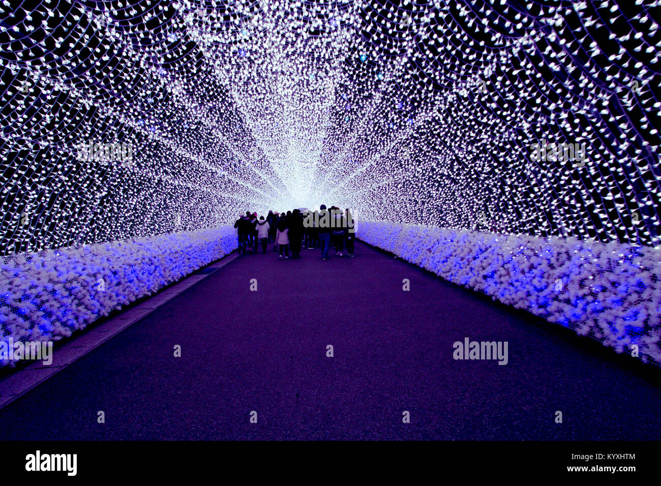 Tunnel Of Light Tunnel Or Illumination Lights In The Winter Nabana No tunnel-of-light-tunnel-or-illumination-lights-in-the-winter-nabana-no