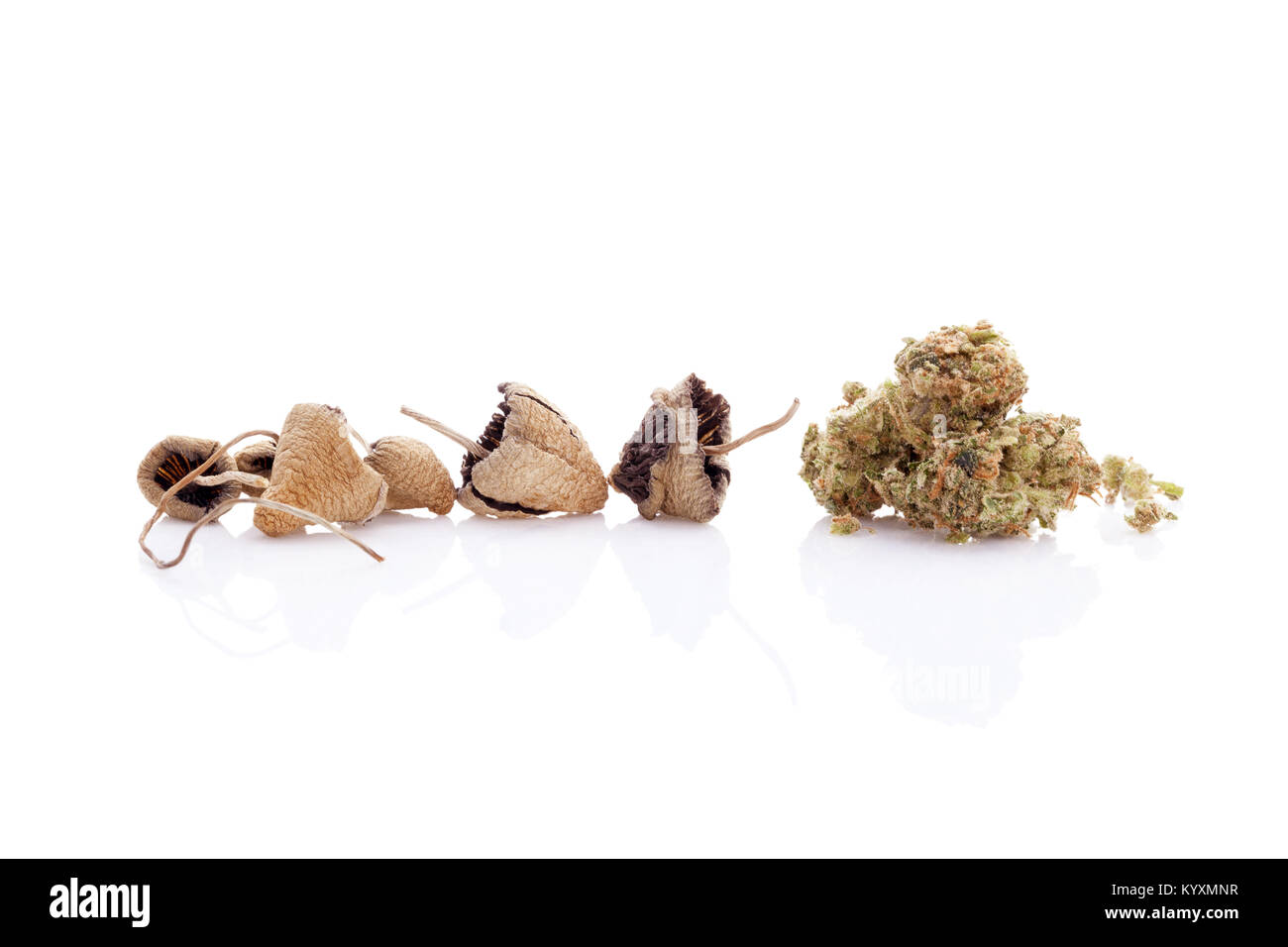 Dried magic mushrooms with bud marijuana cannabis plant. Isolated on white background. Stock Photo