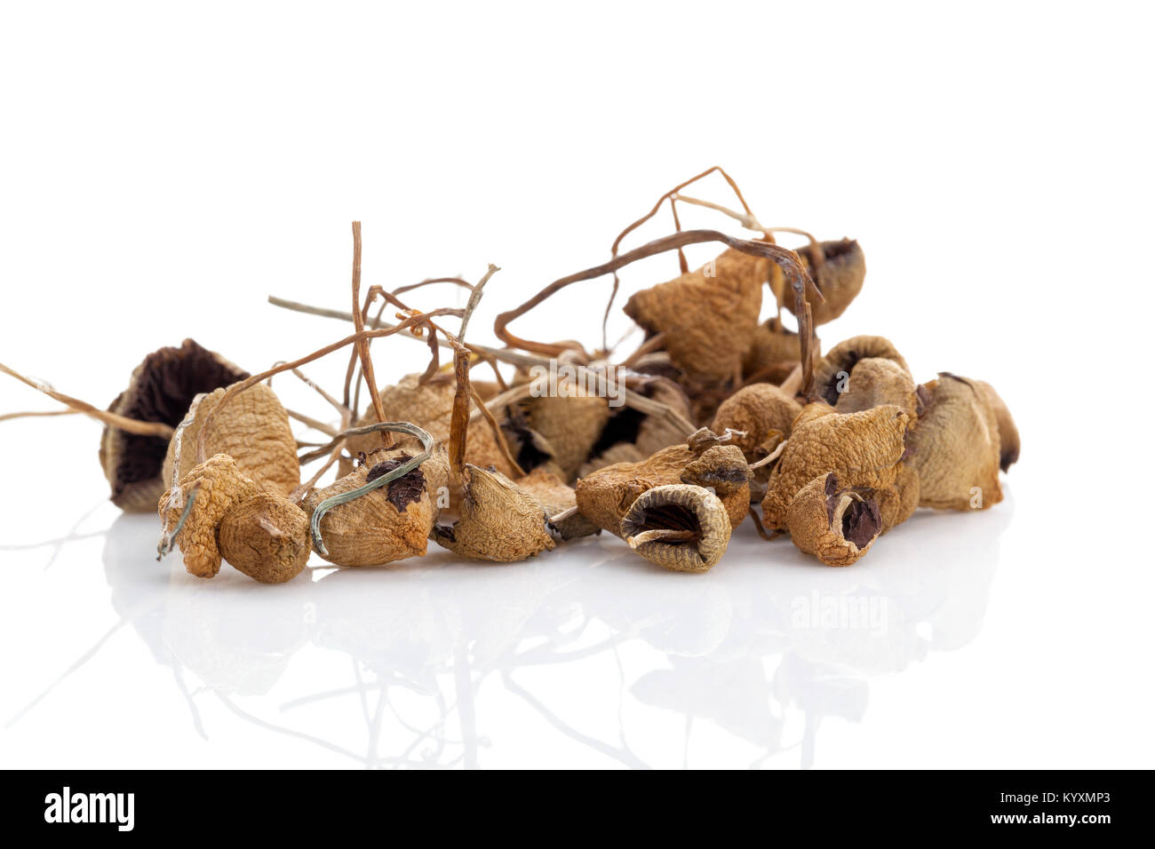 Medical dried magic mushrooms. Natural remedy. Isolated on white