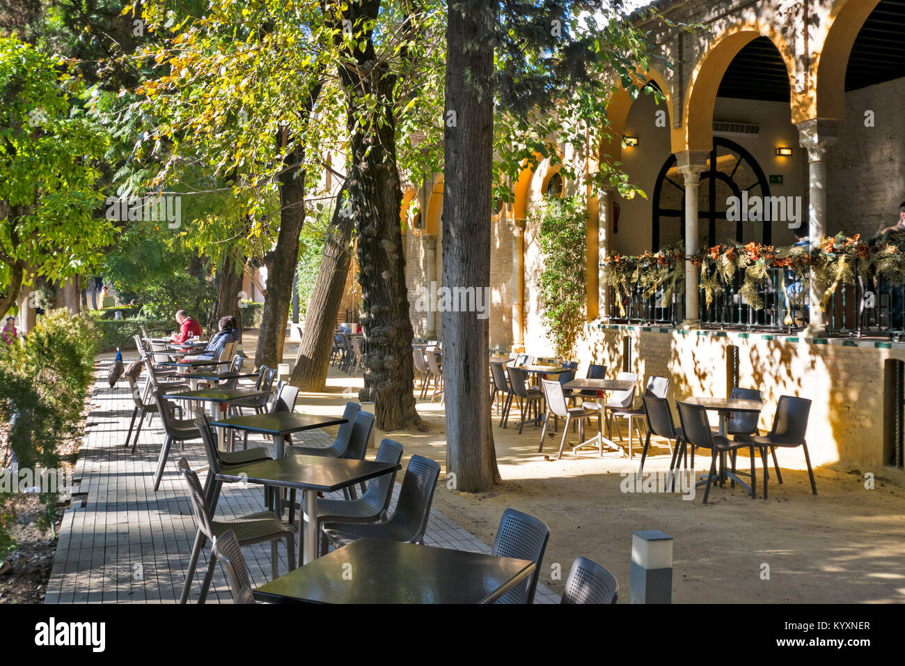 ALCAZAR SEVILLE SPAIN THE FORMAL GARDENS  AND RESTAURANT CAFE AREA WITH PEACOCKS Stock Photo