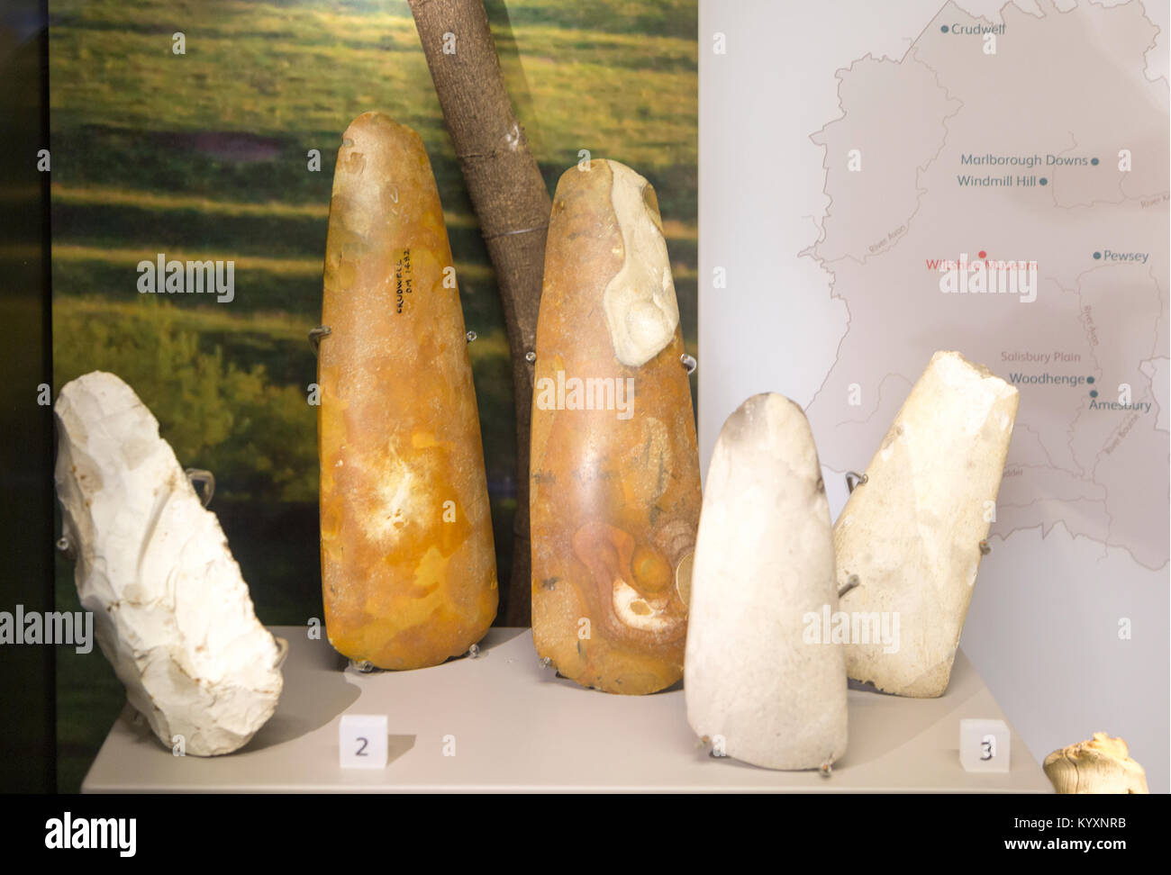 Close up of neolithic axes in display case, with permission of Wiltshire Museum, Devizes, England, UK Stock Photo