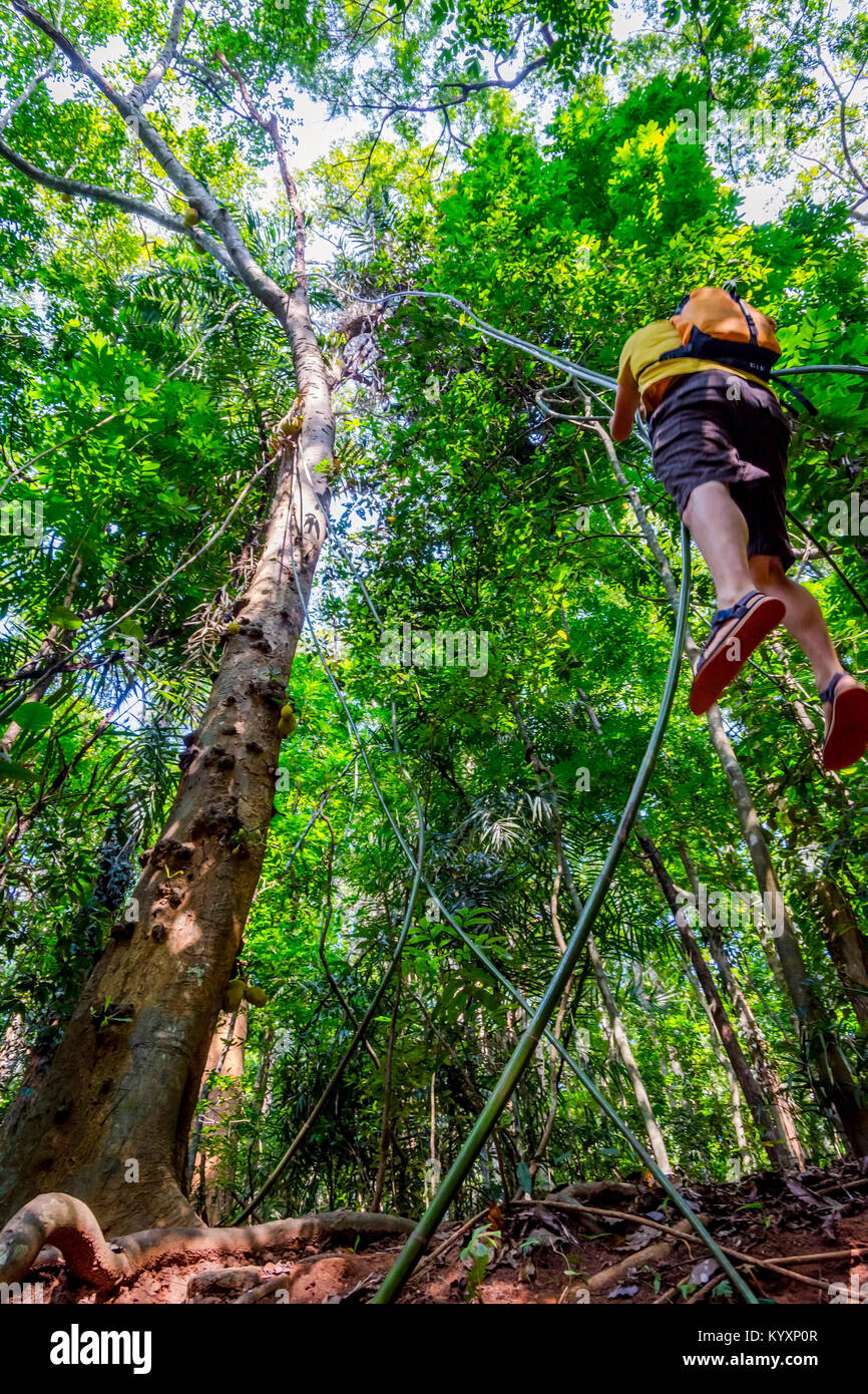 Guy swinging from the tree on liana plant in the tropical forest of Sri