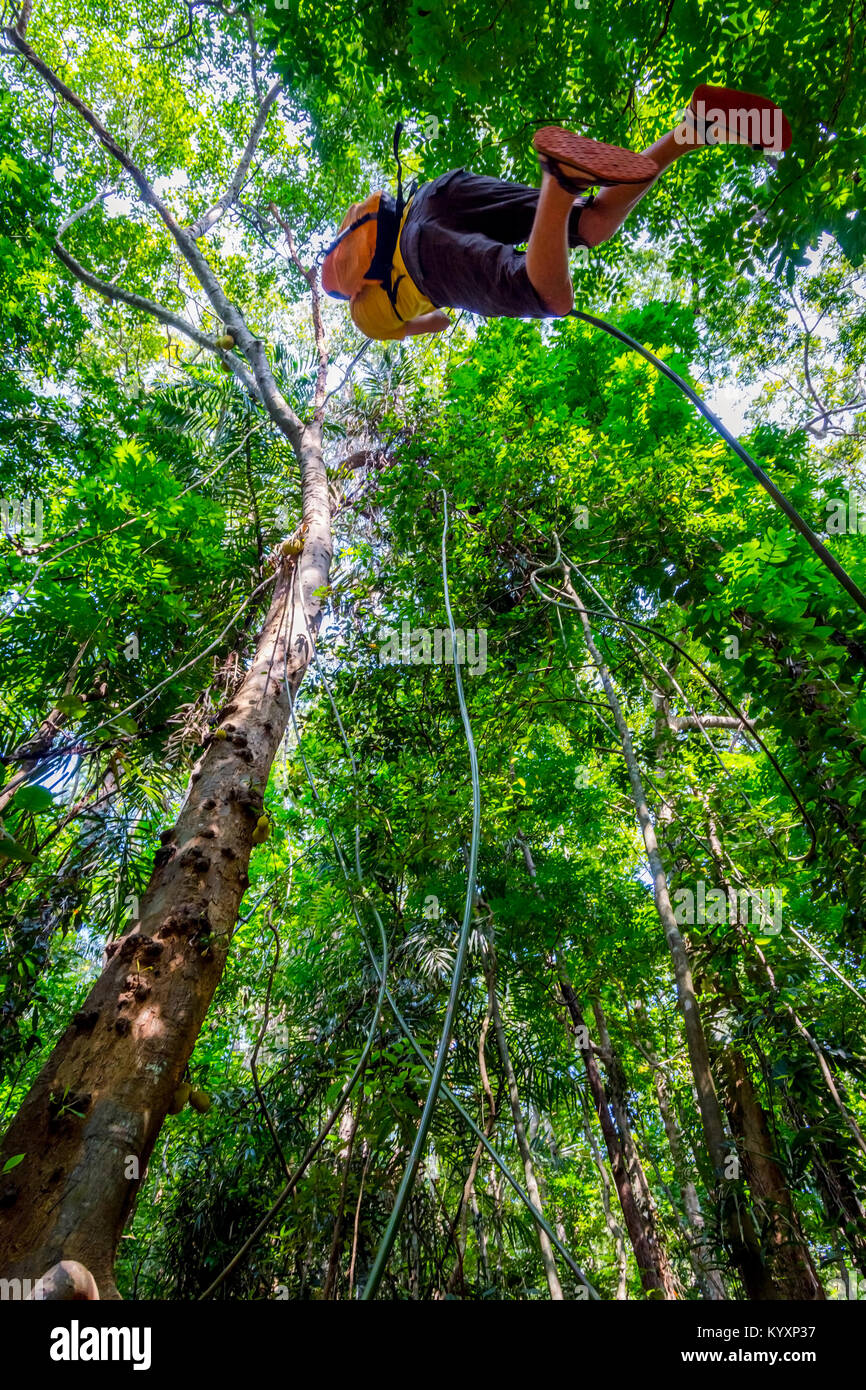 Guy swinging from the tree on liana plant in the tropical forest of Sri