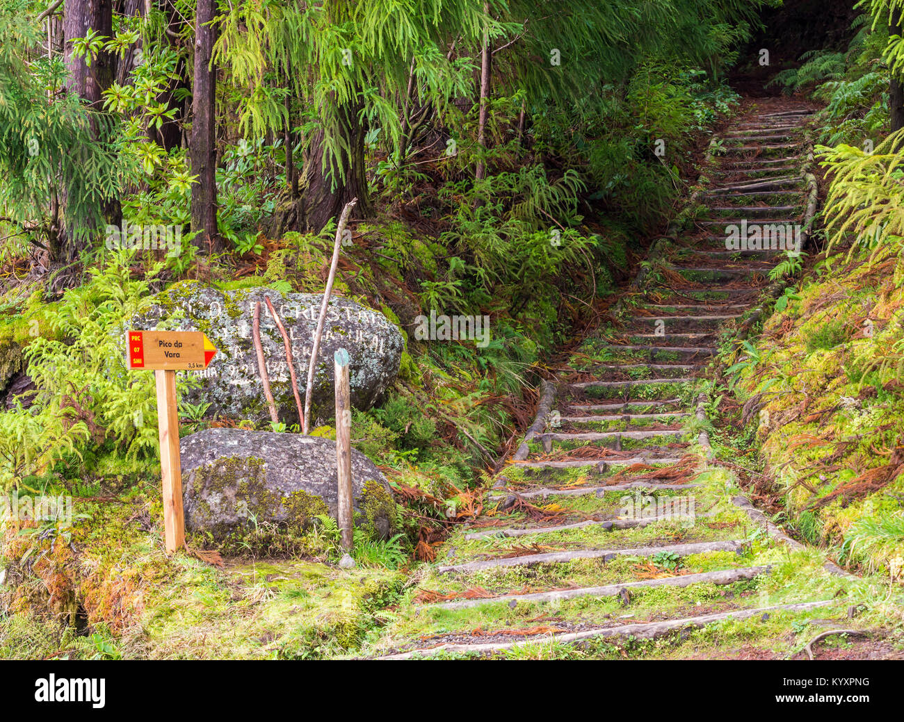 Way to Pico da Vara, the highest mountain on the island of São Miguel, in  the Portuguese archipelago of the Azores Stock Photo - Alamy