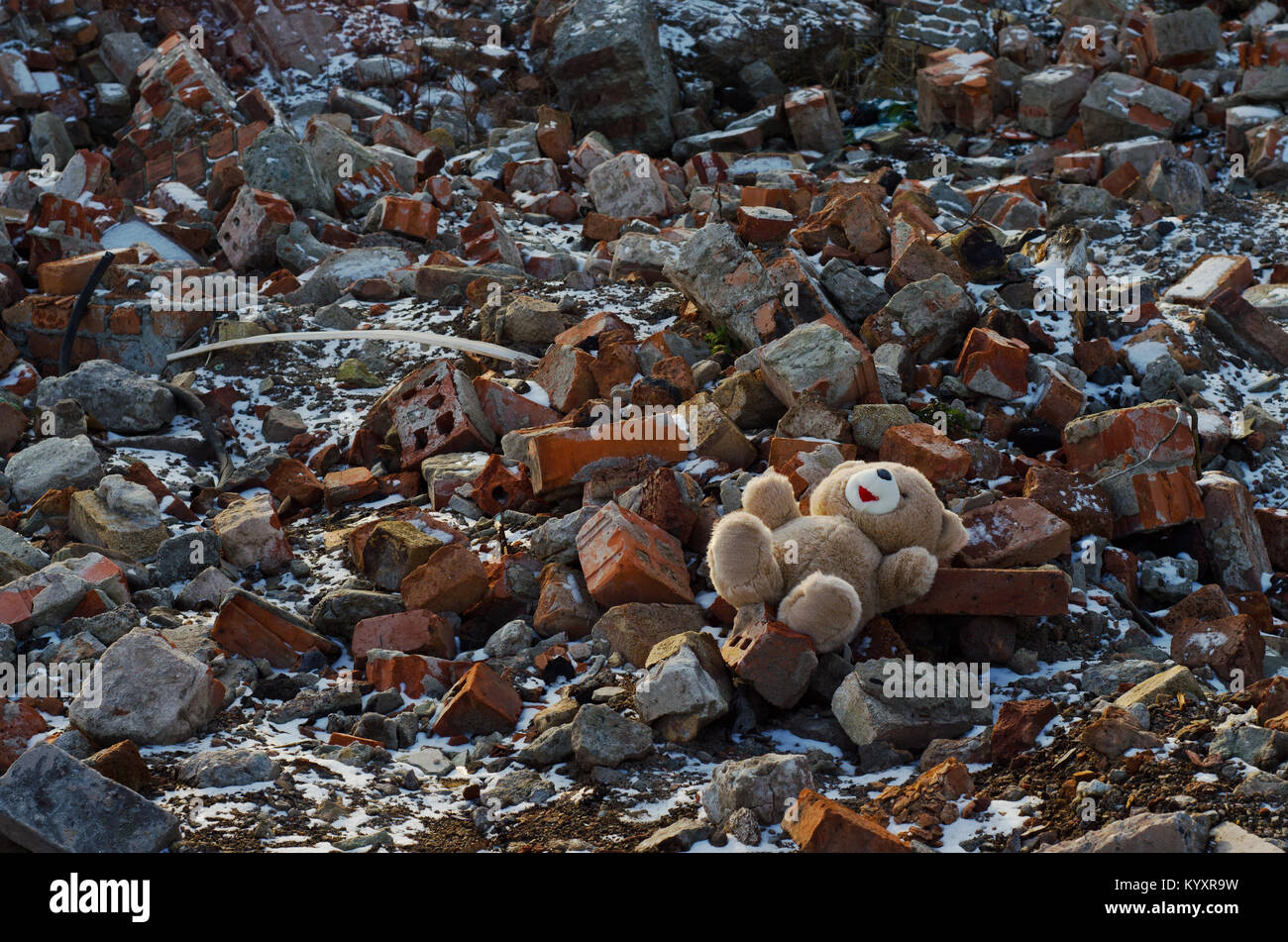 rubble teddy bear