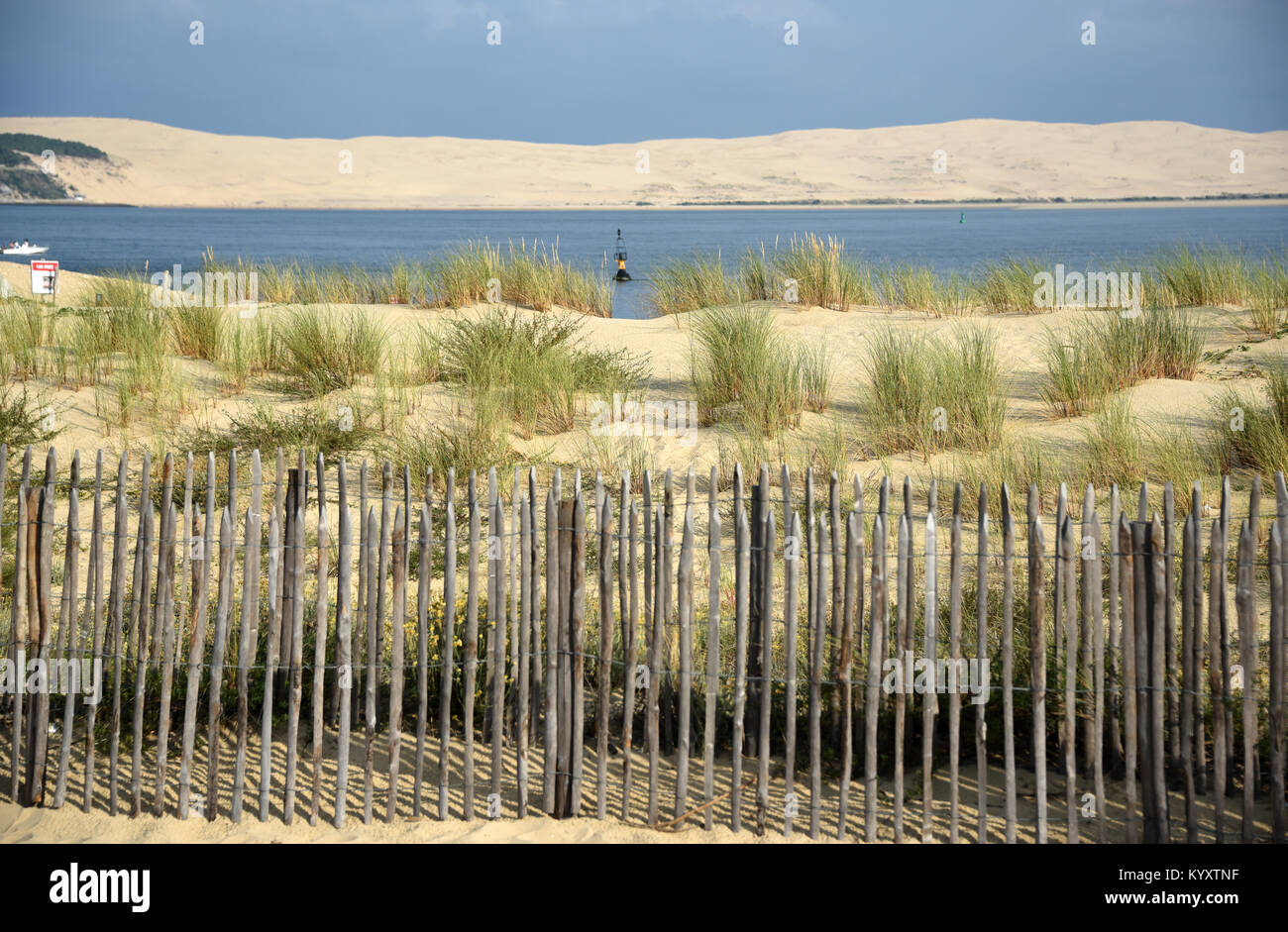 Cap ferret hi-res stock photography and images - Page 9 - Alamy