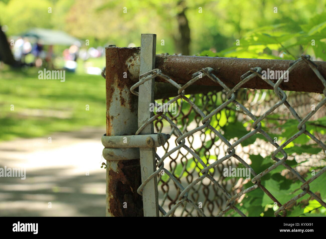 Rusty fence and defocused background in the park Stock Photo