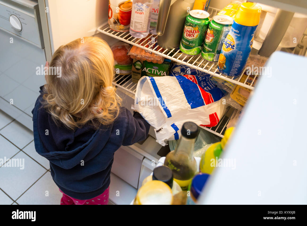 2 year old girl looking for food in refrigerator Stock Photo