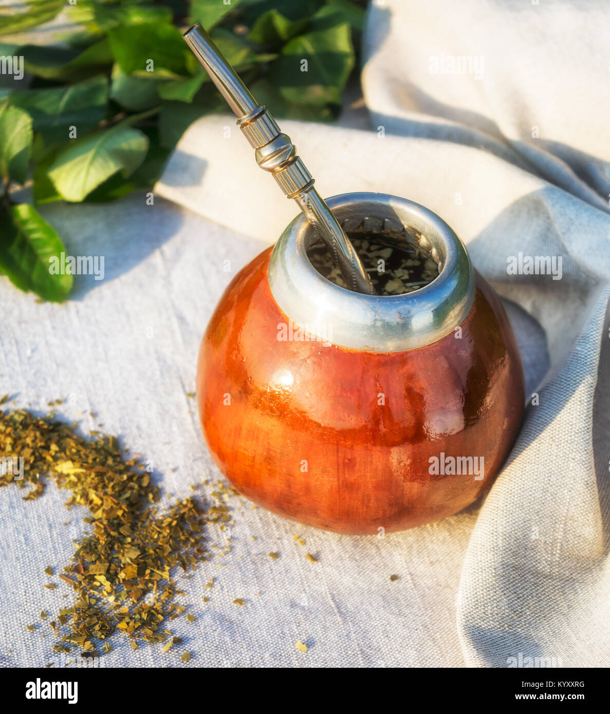 Traditional Latin America Yerba mate in gourd calabash with bombilla