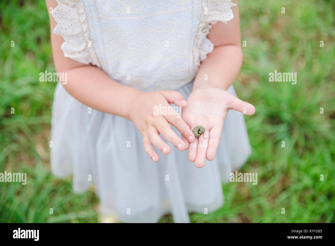 Midsection of girl touching insect on hand at park Stock Photo - Alamy
