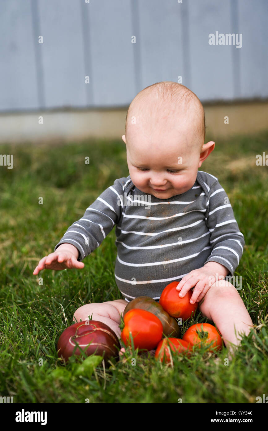 Cute baby boy playing with fresh tomatoes at backyard Stock Photo