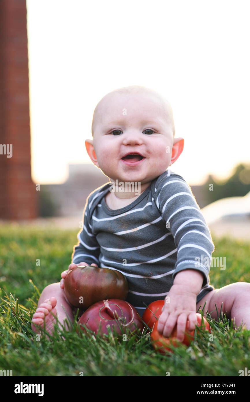 Portrait of cute baby boy playing with fresh tomatoes at backyard Stock Photo