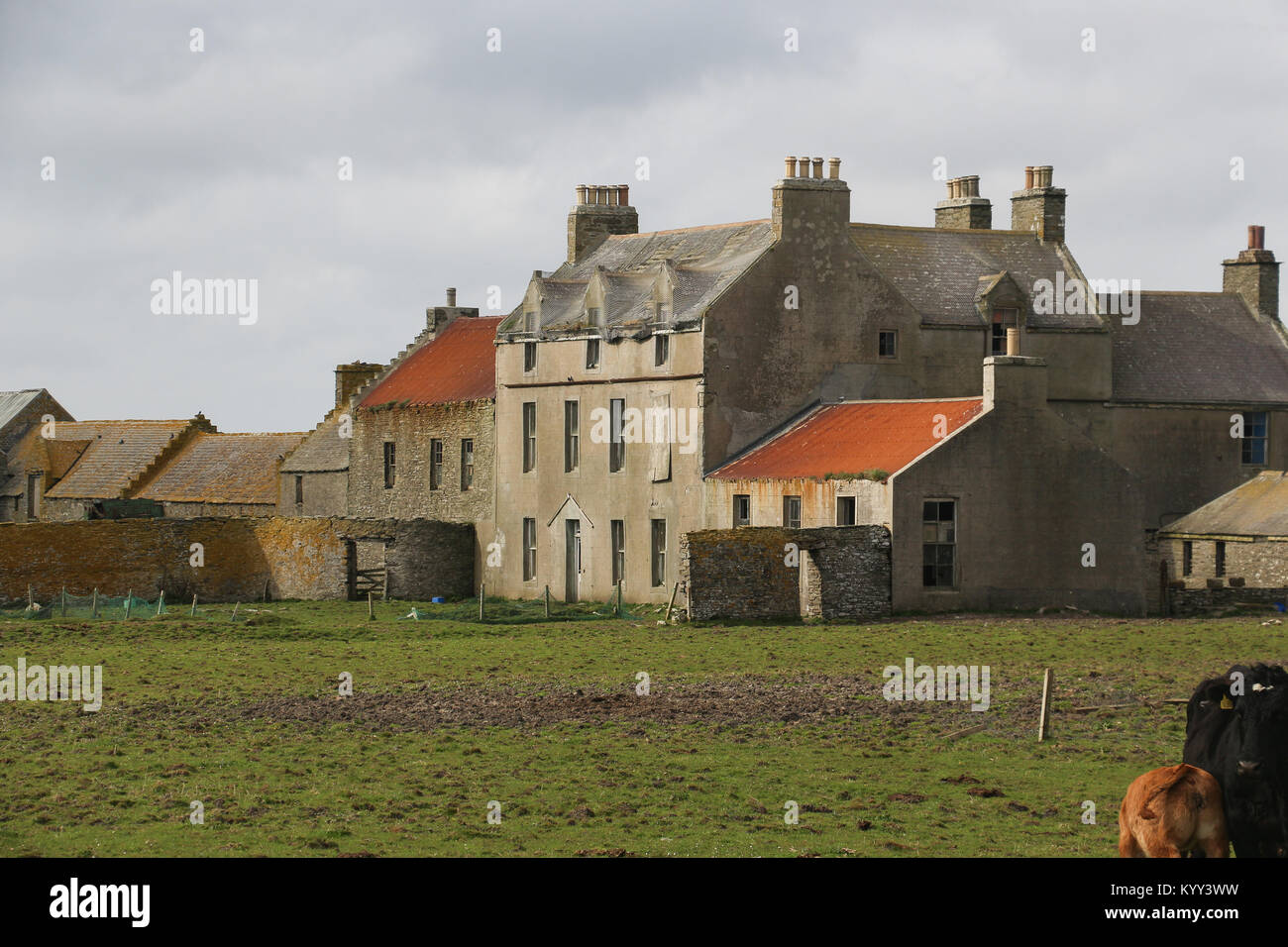 Sunlit,huge old 19th Century Laird's House at Scar,Sanday Island, Orkney, United Kingdom still communicates power and wealth, even as it deteriorates. Stock Photo