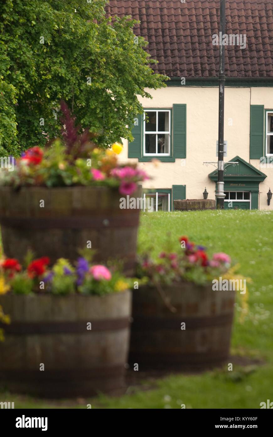 Village houses, Sedgefield, County Durham Stock Photo Alamy