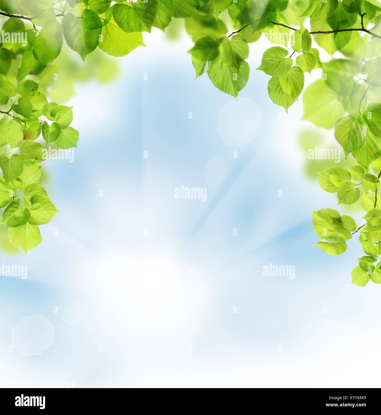 Summer leaves on floral greenery background Stock Photo Alamy