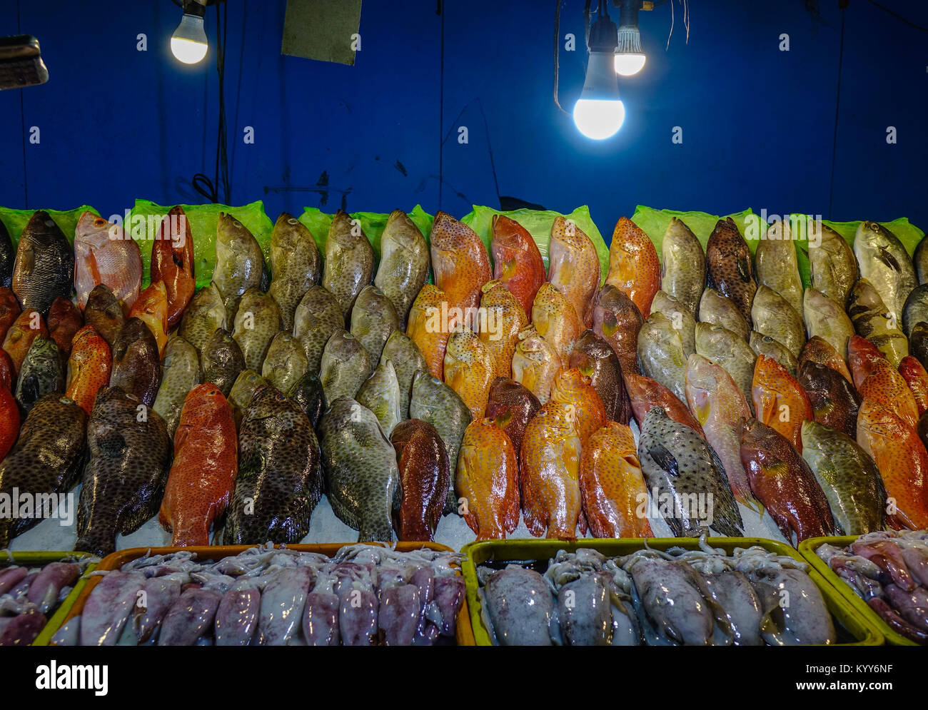 Fish for sale at local market in Manila, Philippines. Stock Photo