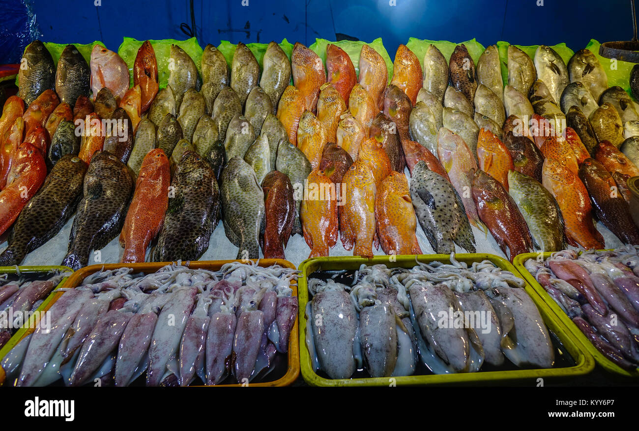Seafood for sale at a local market in Manila, Philippines Stock Photo