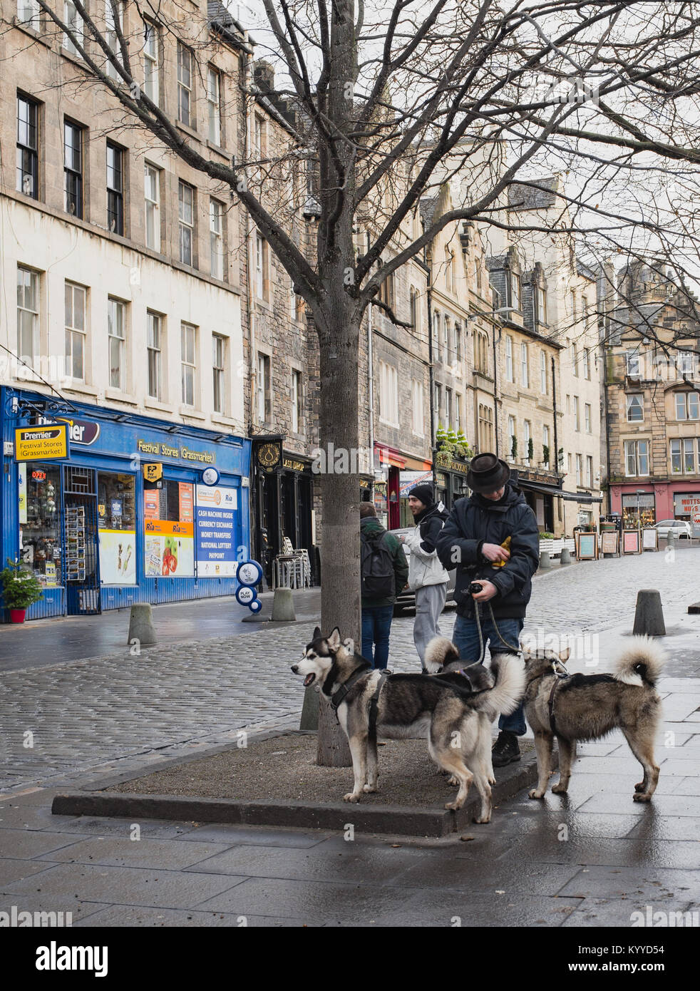 Man looking like Heisenberg or Walter White, walking dogs on street in Edinburgh Stock Photo