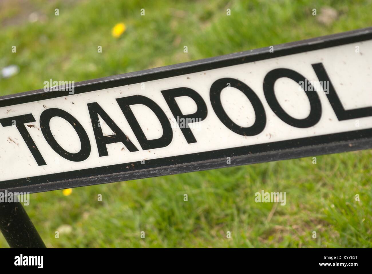 Toadpool sign, West Auckland, County Durham Stock Photo
