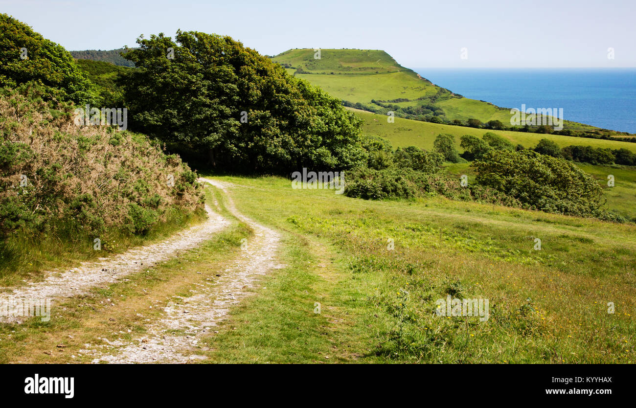 Track near Charmouth in Dorset leading towards Golden Cap the highest point on the southern section of the South West Coast Path UK Stock Photo