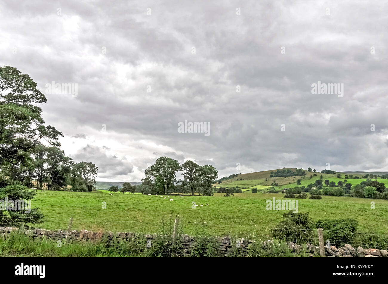 Landscape in Yorkshire between Bedale and Bellerby Stock Photo