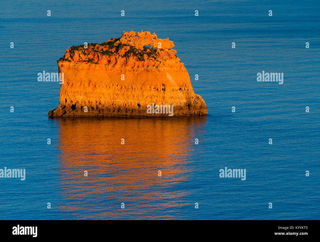 Gulls, Praia da Marinha, Algarve, Atlantic Ocean, Portugal, Europe Stock Photo
