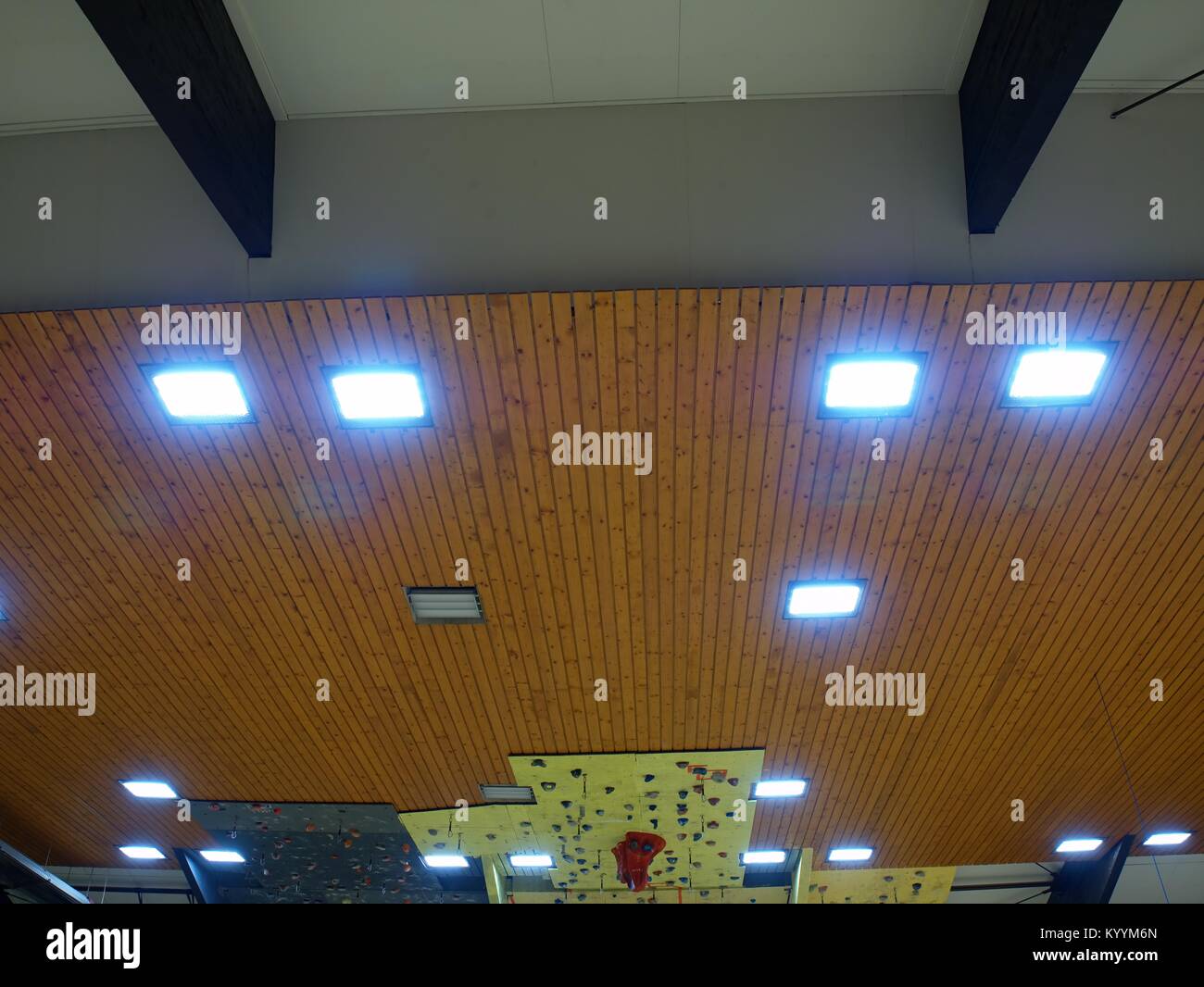 Wooden Ceiling With Lighting Panels Fluorescent Lamps On
