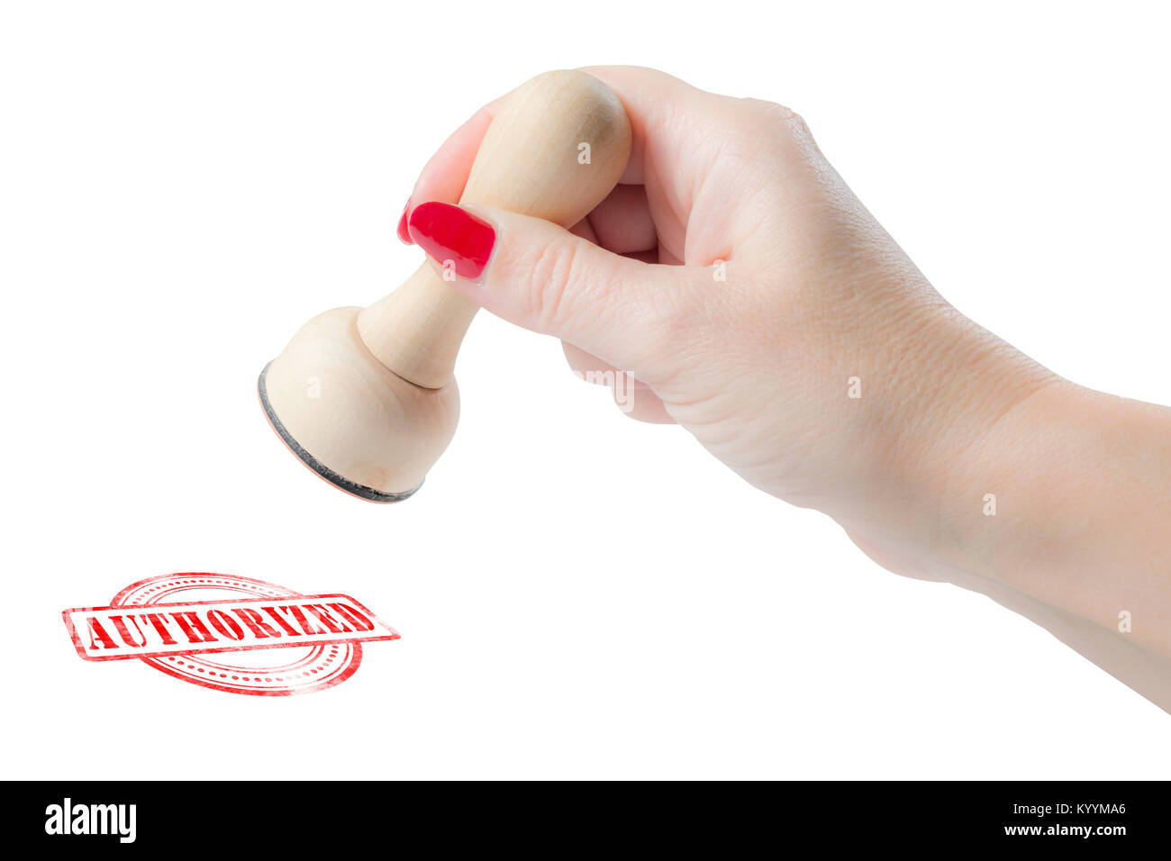 Hand holding a rubber stamp with the word autorized isolated on a white background Stock Photo