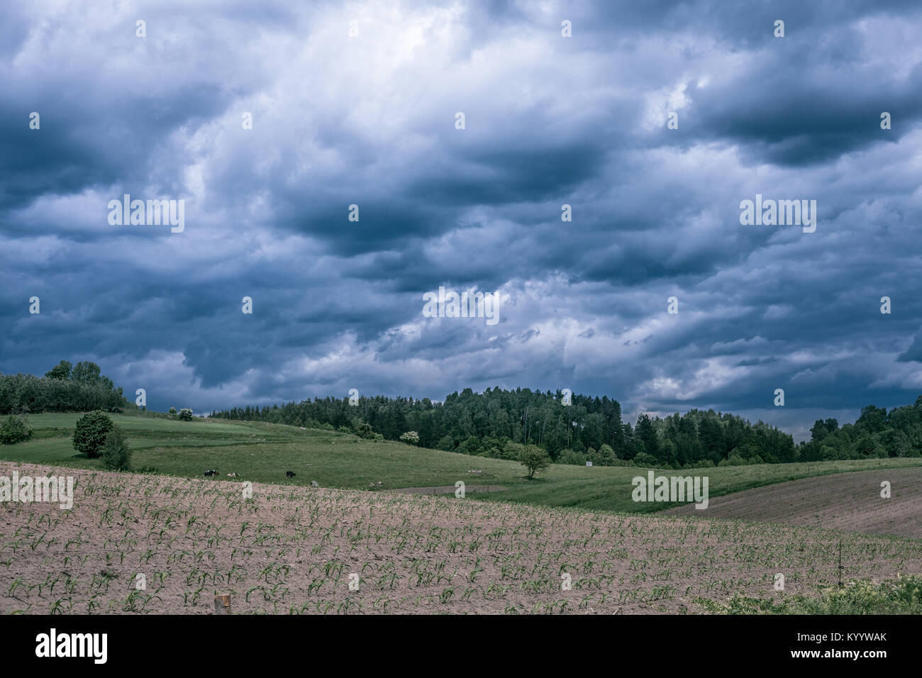 Stormy cloudscape over fields and pasture Stock Photo - Alamy