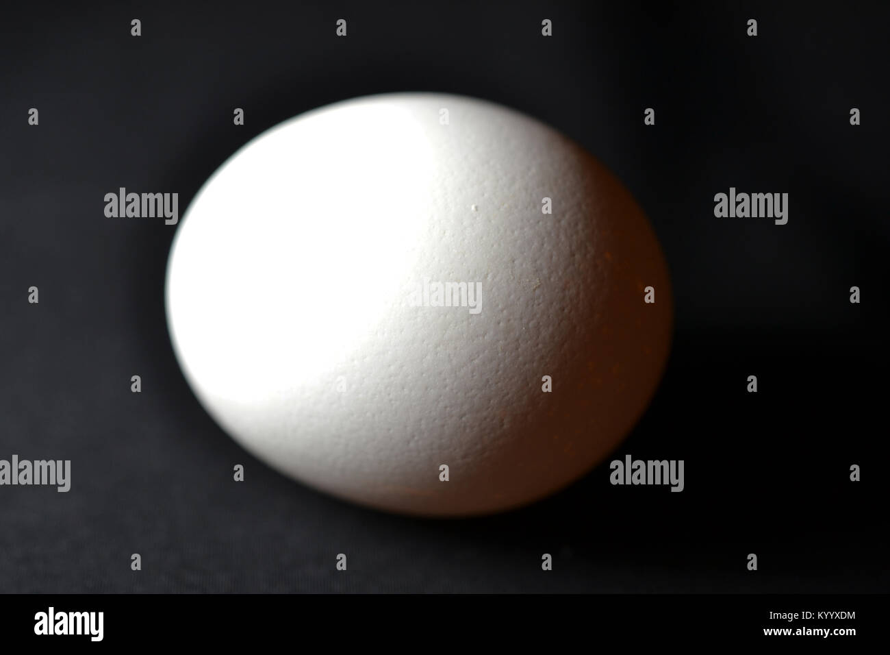 White Chicken Egg on black background color Stock Photo - Alamy