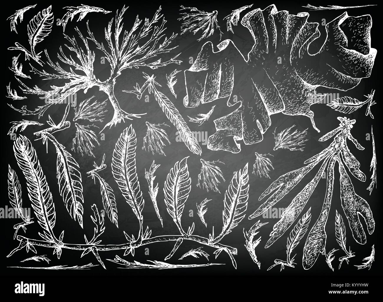 Sea Vegetables, Illustration of Hand Drawn Sketch Dulse, Caulerpa Taxifoli, Laver and Arame Seaweed on Black Chalkboard. High in Calcium, Magnesium an Stock Vector