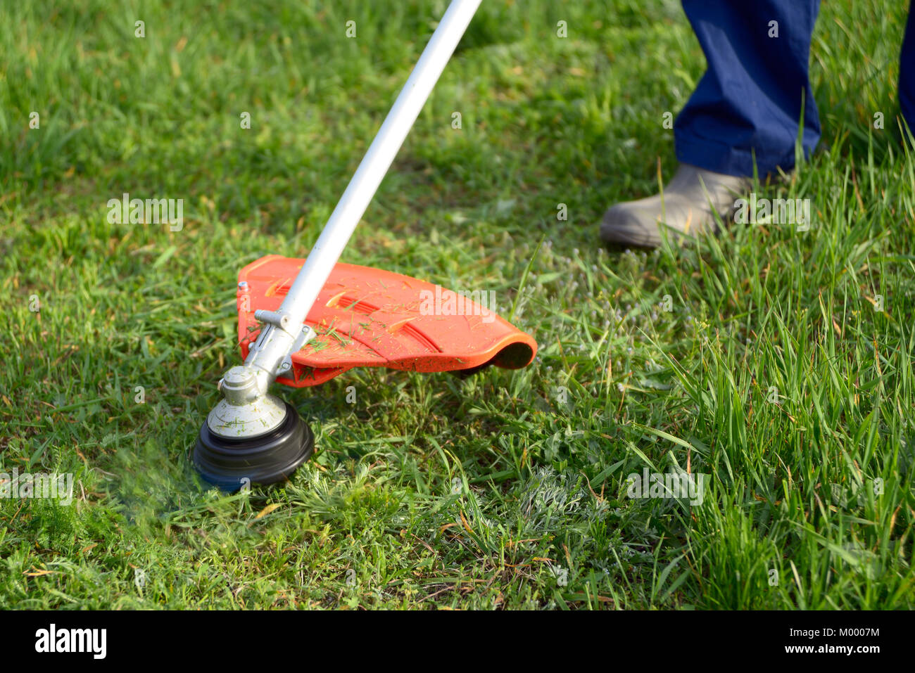 Mowing the grass on the lawn closeup Stock Photo