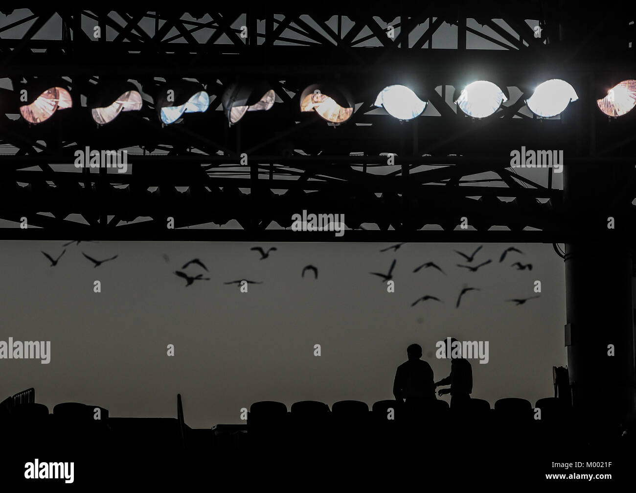 Silueta de varias aves acuáticas que pasan a un costado las lamparas que  iluminan el estadio Sonora. Aspectos previos al partido de beisbol entre N  Stock Photo - Alamy