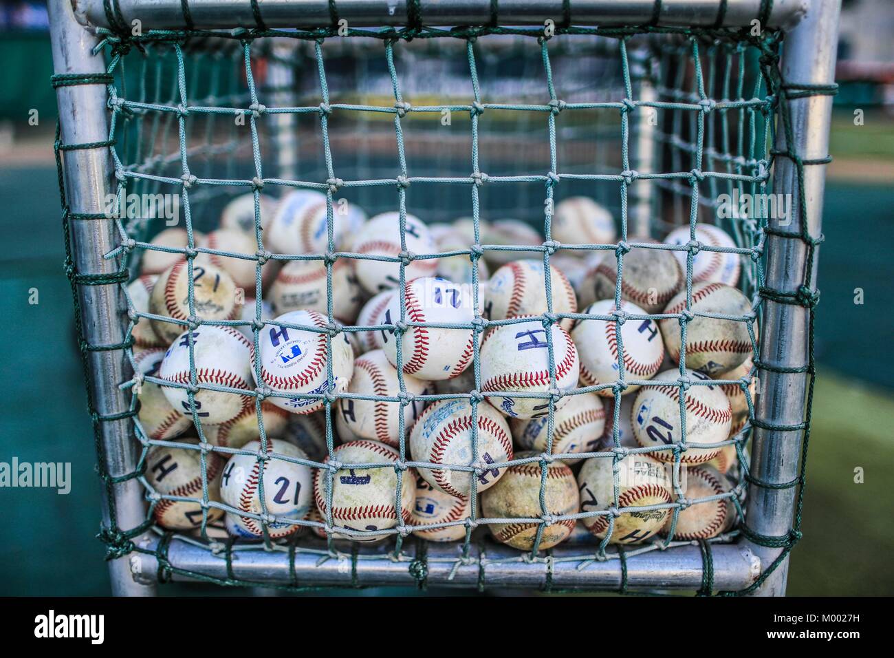 Ball, Baseball balls of Naranjeros de Hermosillo training. Marked with the letter H and number 21 in honor of Hector Espino, the maximum baseball play Stock Photo