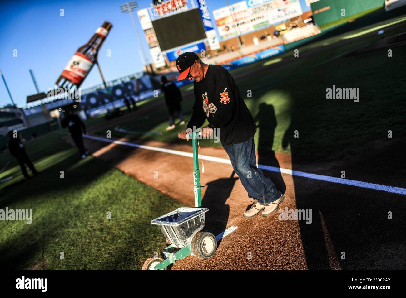 Personal staff del Estadio Sonora pinta las lineas blancas del campo cuadro,infilder, durante el juego de beisbol de la Liga Mexicana del Pacifico co Stock Photo