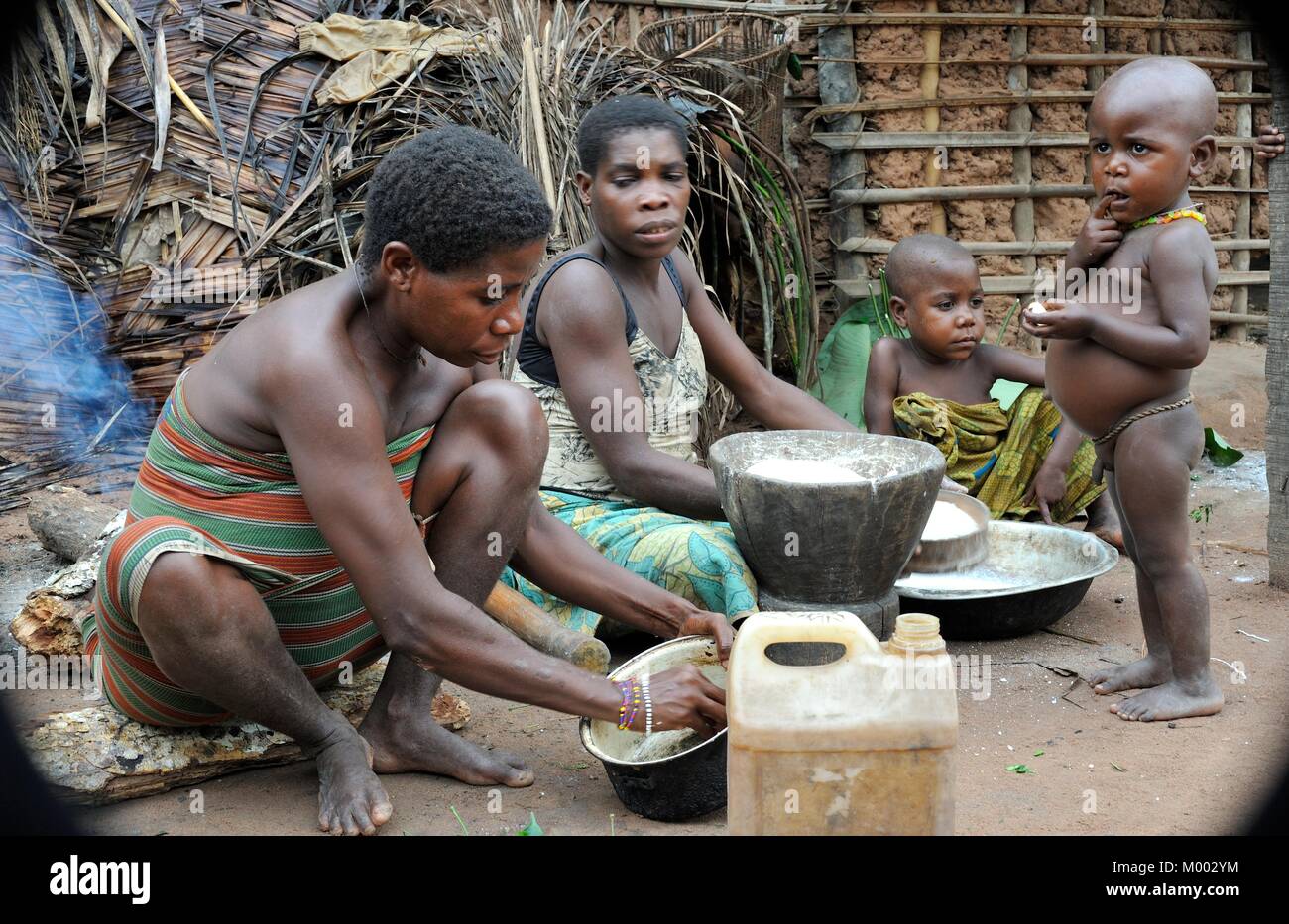 Jungle of CAR. Africa. Jungle of the Central-African Republic. Baka woman cooks food, crushing a flour in a mortar Stock Photo