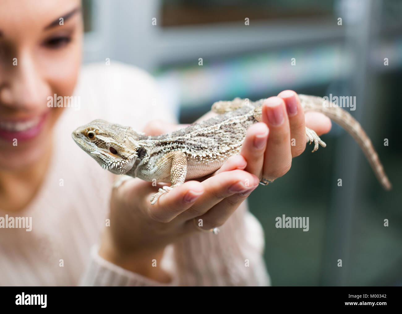 Portrait of happy woman holding a lizard in hands Stock Photo - Alamy