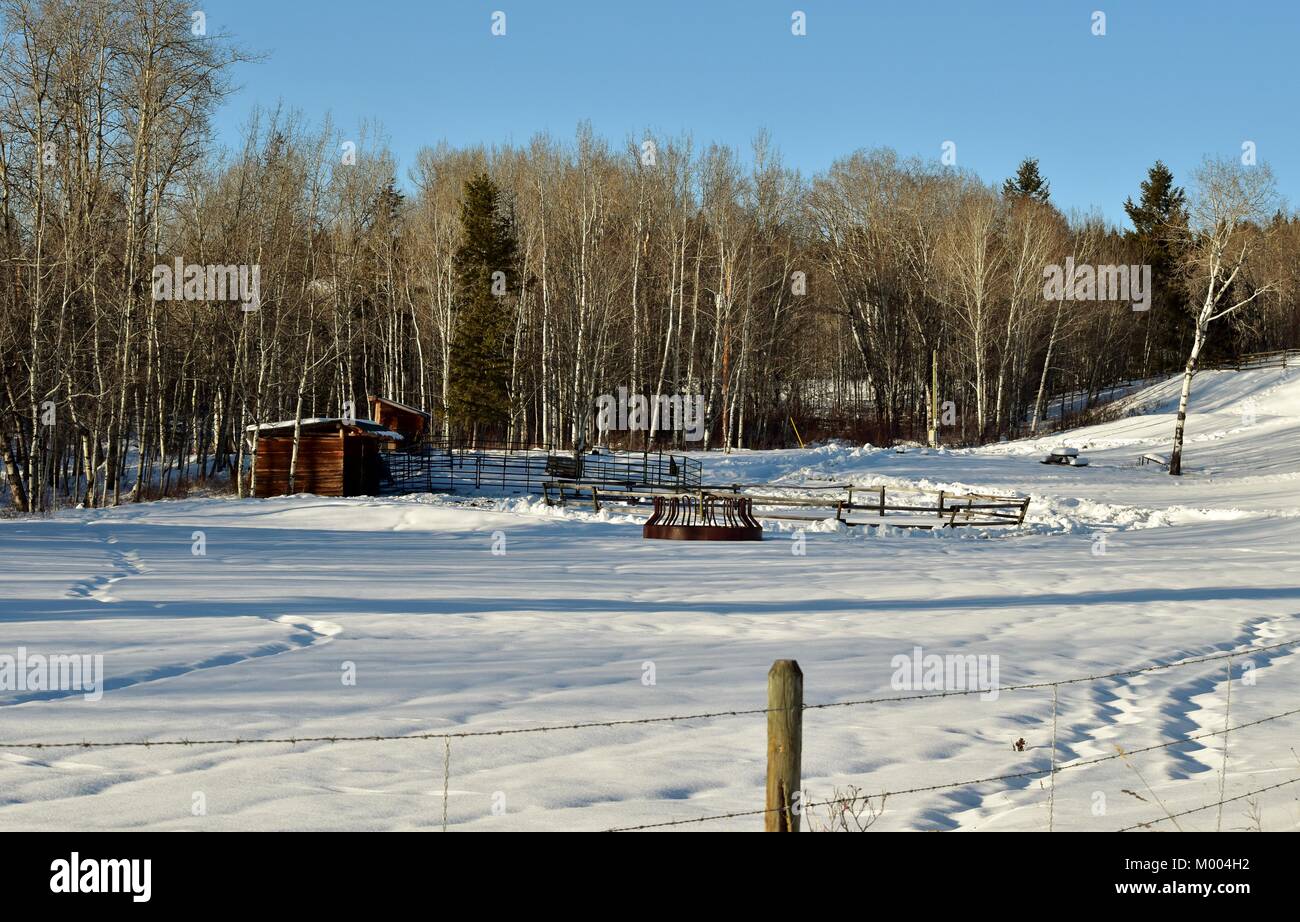 Looking down the road toward our horse pens. Taken  on January 15, 2018 at 3:50 PM. Stock Photo