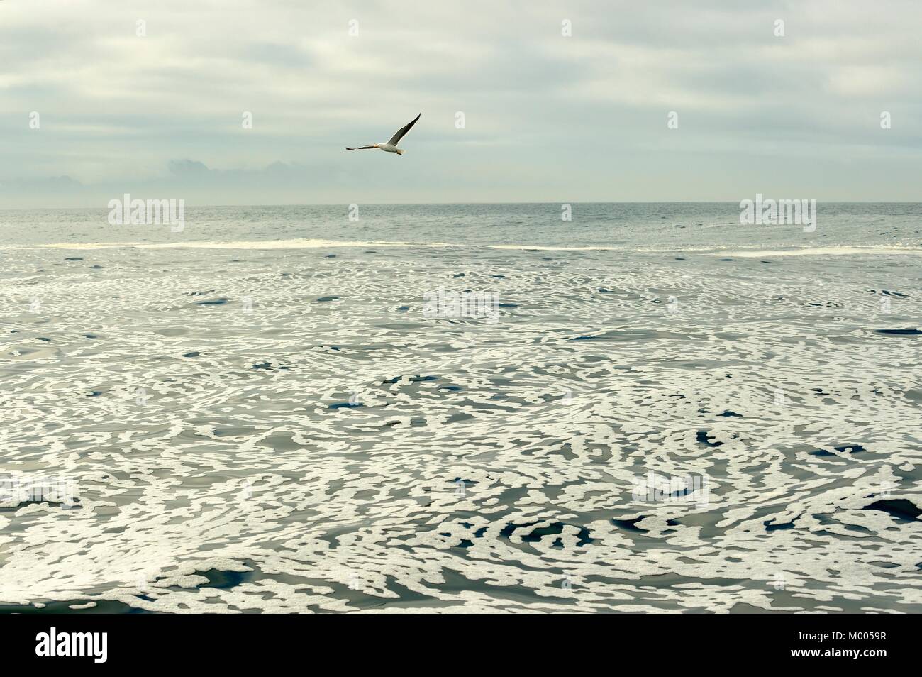 White foam on an  still ocean water surface. South Africa Stock Photo