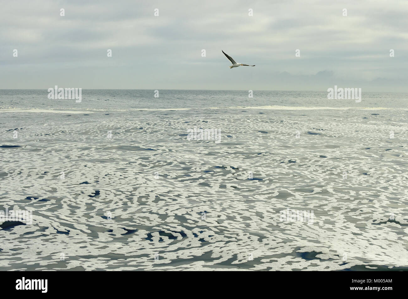 White foam on an still ocean water surface. South Africa Stock Photo