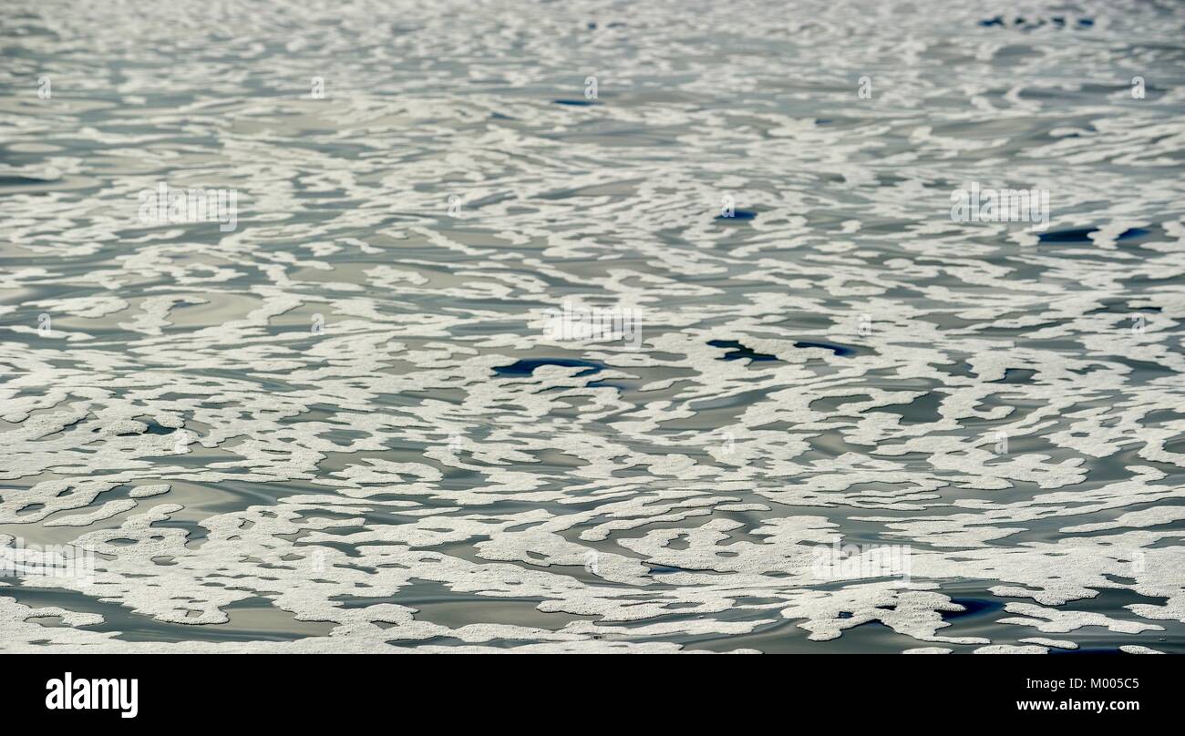 White foam on an still ocean water surface. South Africa Stock Photo