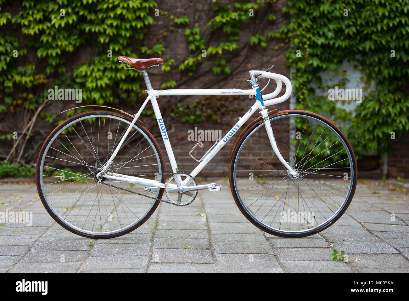 A classic Rennrad Giant Peloton Superlite racing bike Stock Photo - Alamy