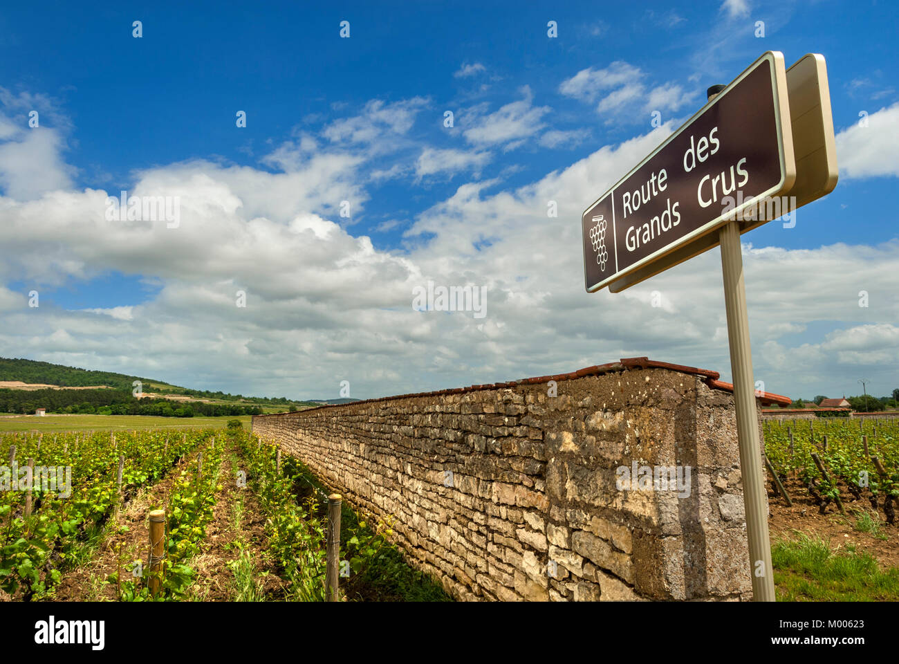PULIGNY MONTRACHET Route des Grands Crus sign at the vineyards of Puligny Montrachet, with Hill of Corton landscape in background Cote d Or France Stock Photo