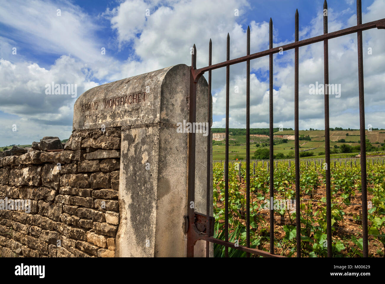 LE MONTRACHET Entrance gate to the fine Grand Montrachet vineyard, Puligny-Montrachet, Côte d'Or, France. [Côte de Beaune Grand Cru] Stock Photo