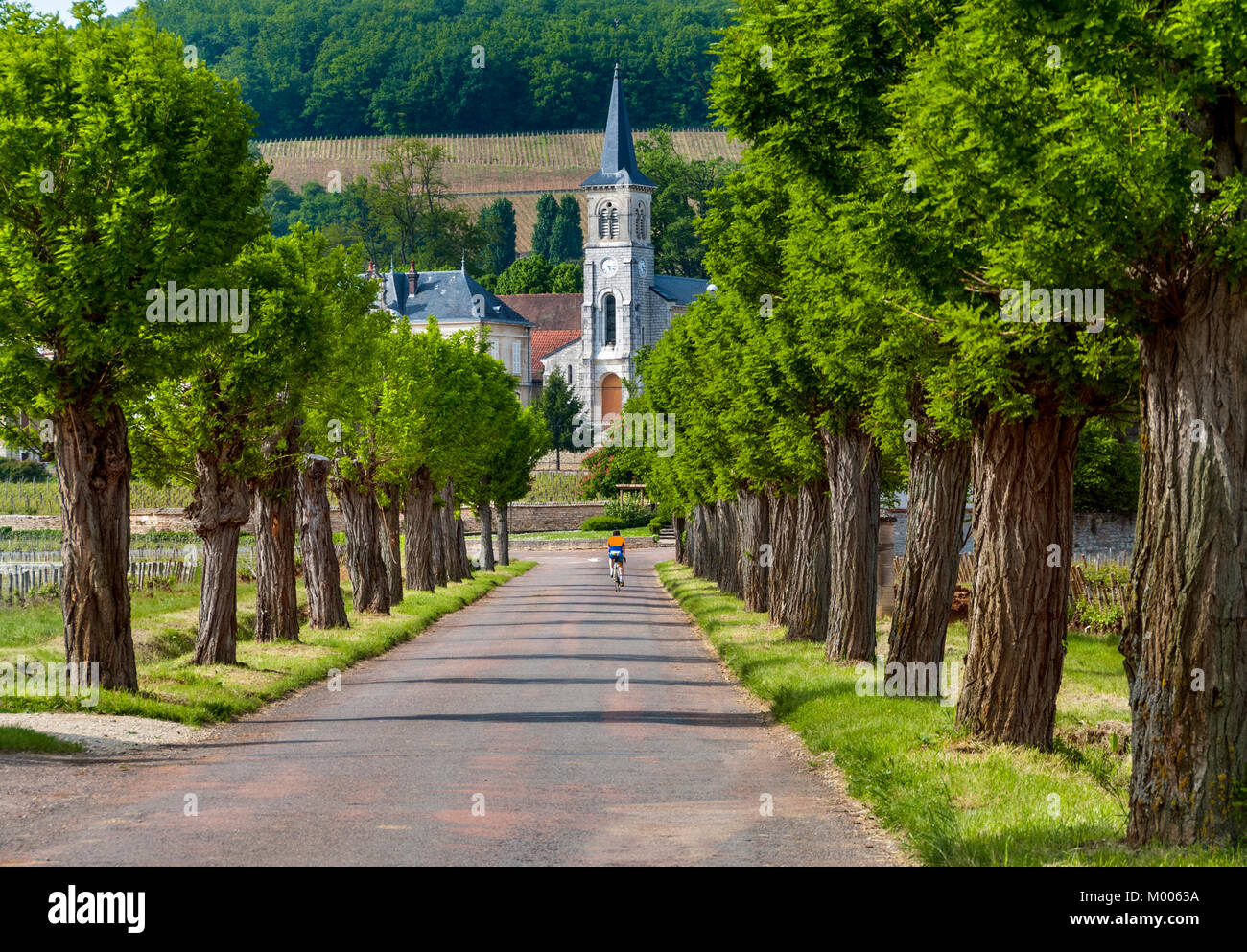 ALOXE CORTON RUE DE BEAUNE WINE VILLAGE HILL OF CORTON Village Church aloxe-corton-rue-de-beaune-wine-village-hill-of-corton-village-church