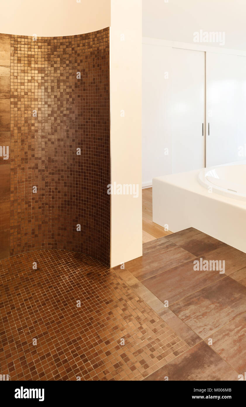 Architecture, interiors of a modern house, bathroom, marble shower