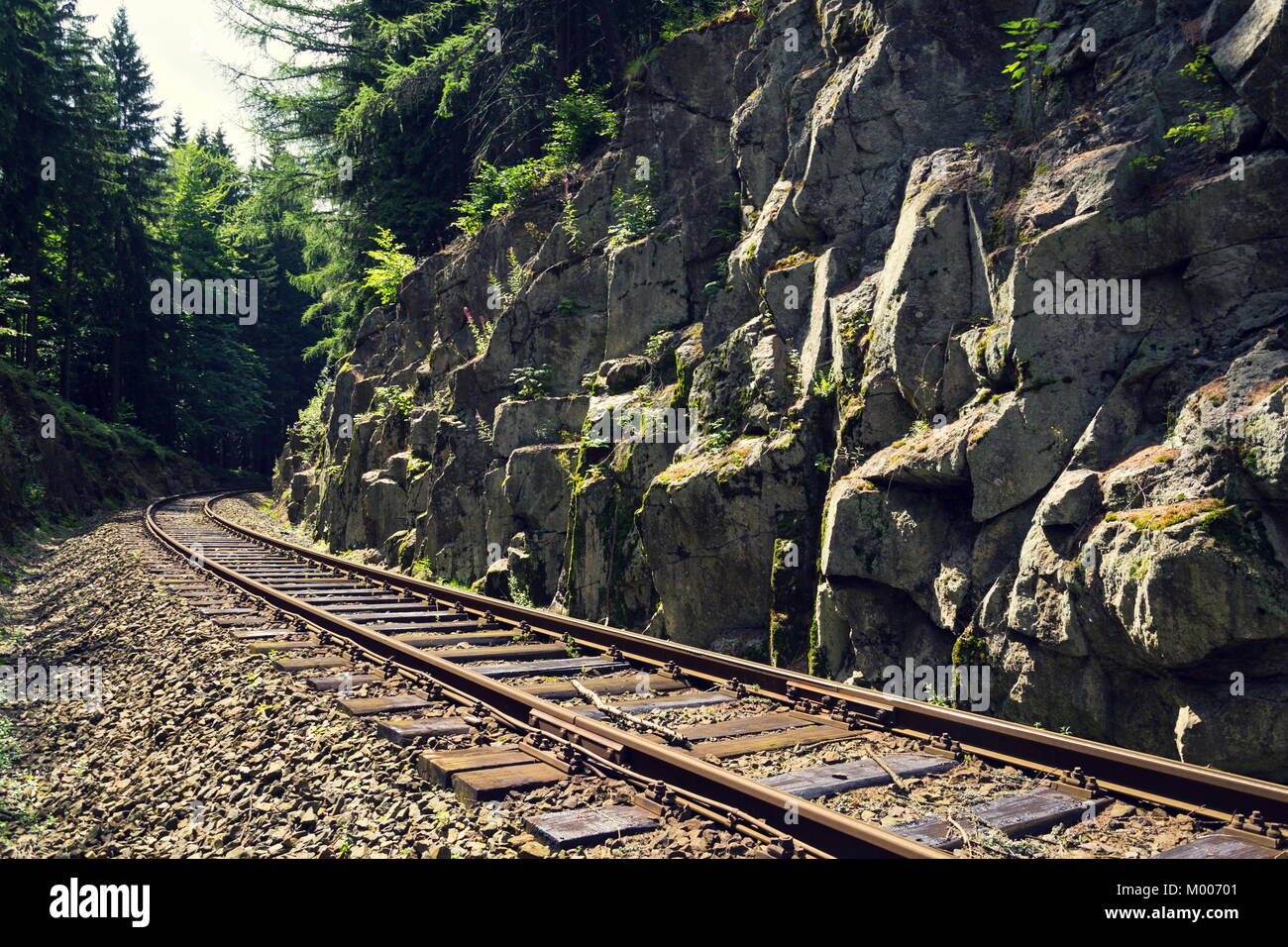Railway in beautiful rocky forest in Ore Mountains, Czech Republic Stock Photo