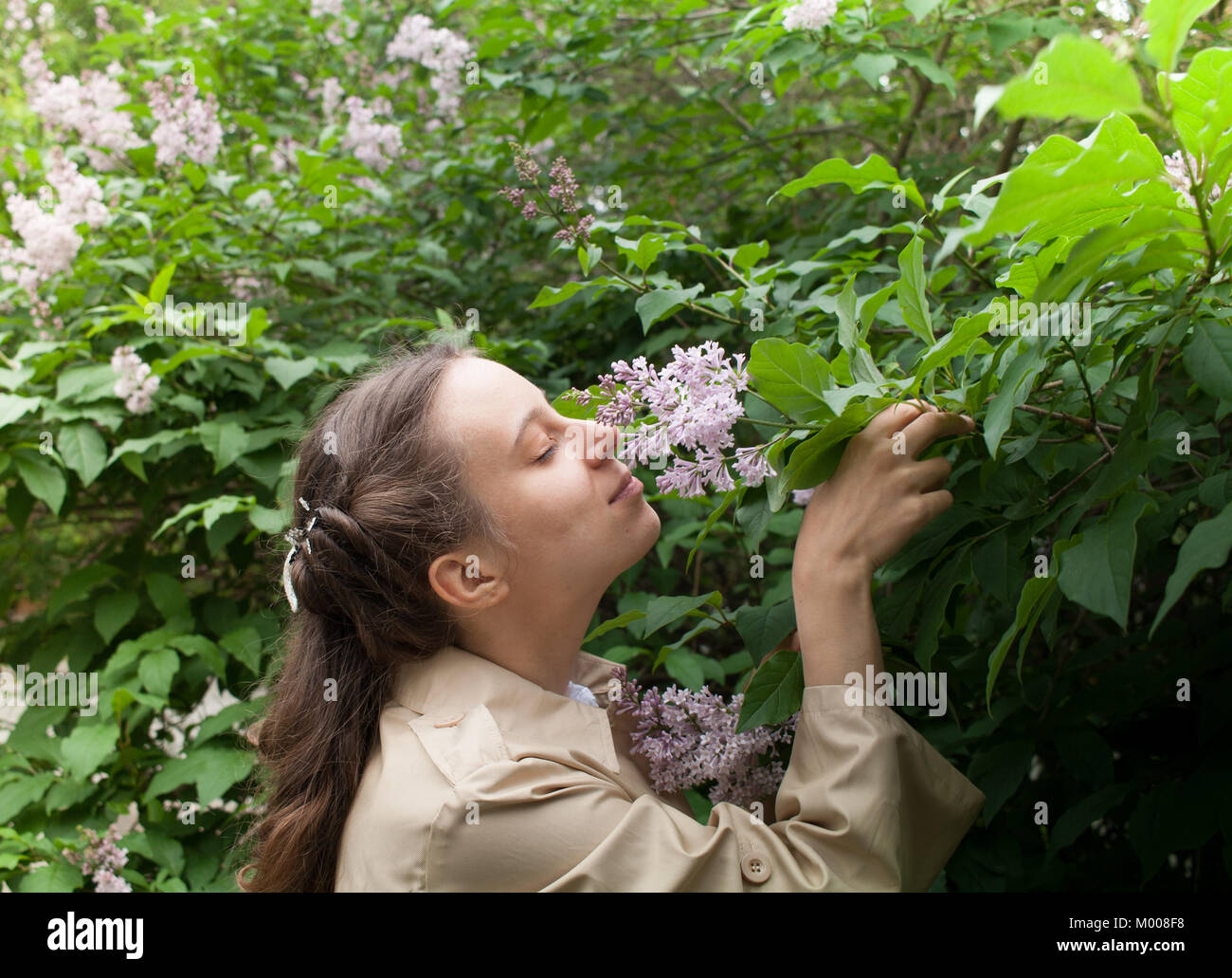 Young curly girl in beige cloak is standing near blooming lilac bush and sniffing flowers. Stock Photo