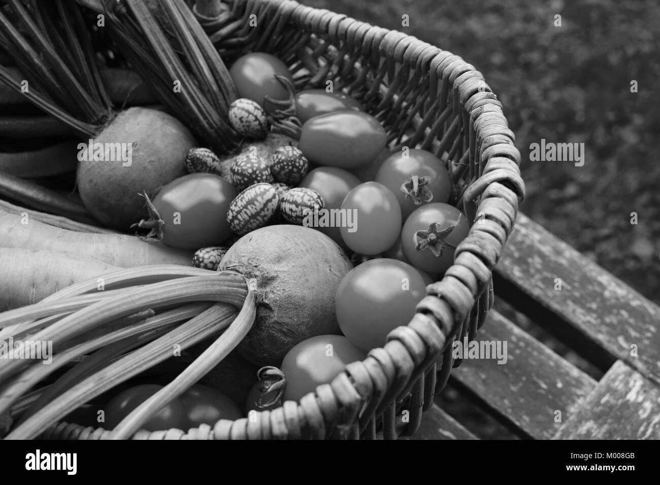Close-up of beetroot and tomatoes with cucamelons and carrots in a wicker basket on a rustic garden bench - monochrome processing Stock Photo