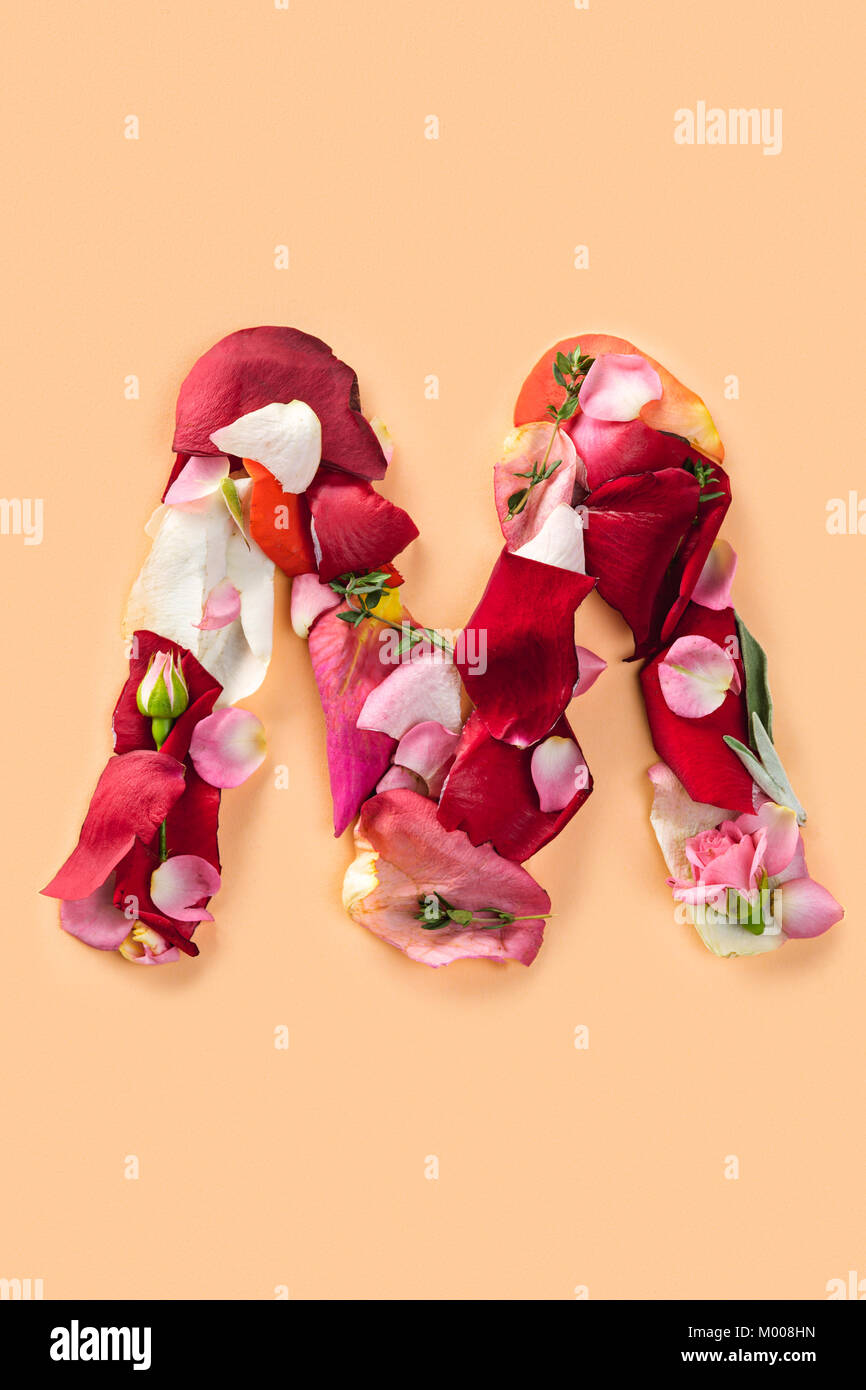 Letter M Made From Red Roses And Petals Isolated On A White Background Stock Photo Alamy